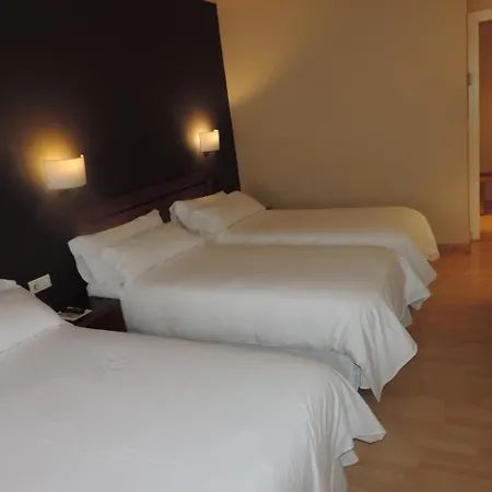 Hotel Puerta De Espana 3*